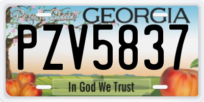 GA license plate PZV5837