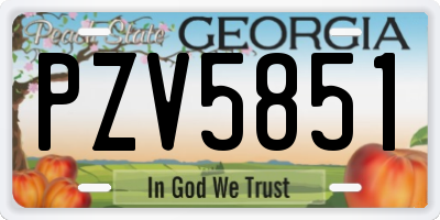 GA license plate PZV5851