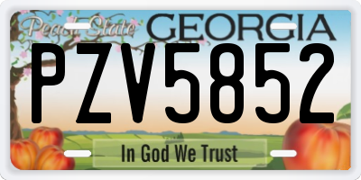 GA license plate PZV5852