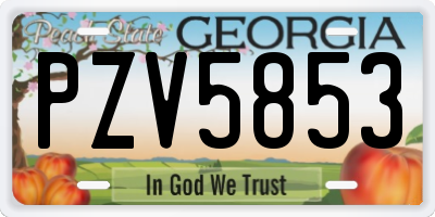 GA license plate PZV5853