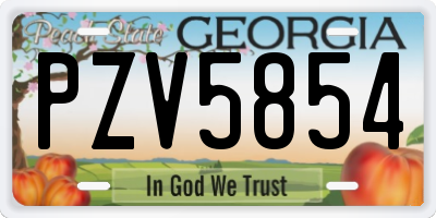 GA license plate PZV5854