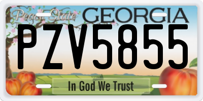 GA license plate PZV5855