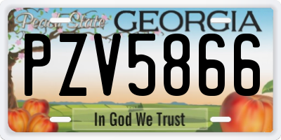GA license plate PZV5866