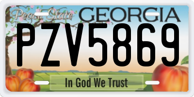 GA license plate PZV5869