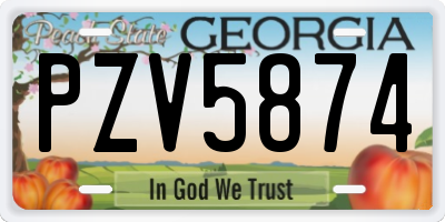 GA license plate PZV5874