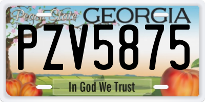 GA license plate PZV5875