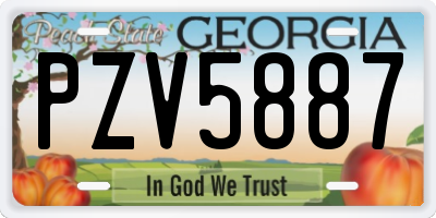 GA license plate PZV5887