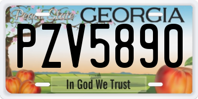 GA license plate PZV5890