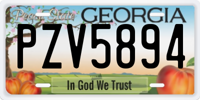 GA license plate PZV5894
