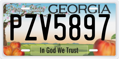 GA license plate PZV5897