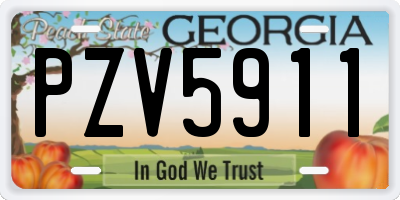 GA license plate PZV5911