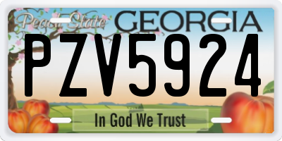 GA license plate PZV5924