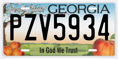 GA license plate PZV5934