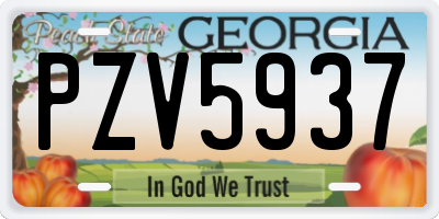 GA license plate PZV5937