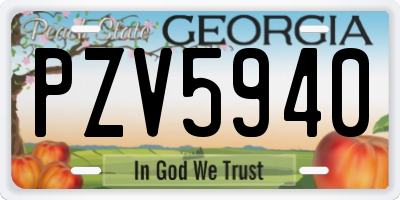 GA license plate PZV5940