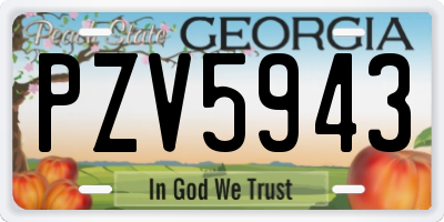 GA license plate PZV5943
