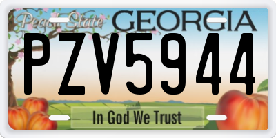 GA license plate PZV5944