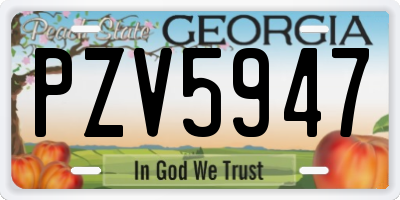 GA license plate PZV5947