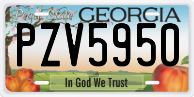 GA license plate PZV5950