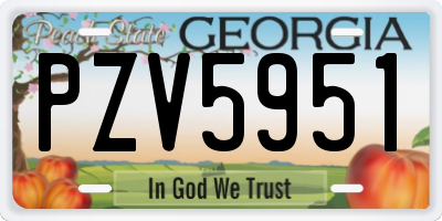 GA license plate PZV5951