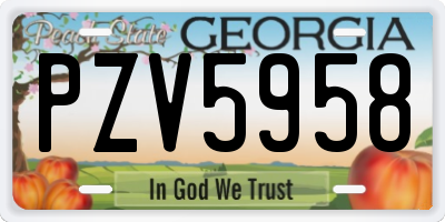GA license plate PZV5958