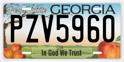 GA license plate PZV5960