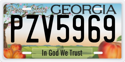 GA license plate PZV5969