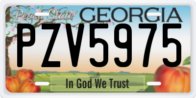 GA license plate PZV5975