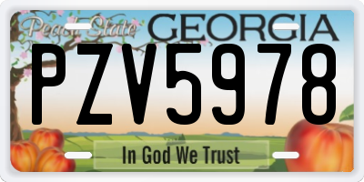 GA license plate PZV5978
