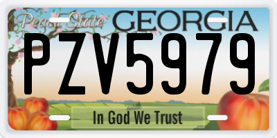 GA license plate PZV5979