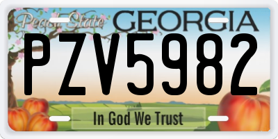 GA license plate PZV5982