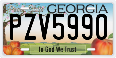 GA license plate PZV5990