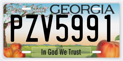 GA license plate PZV5991