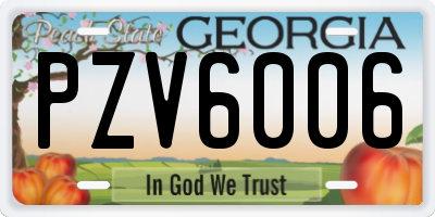 GA license plate PZV6006