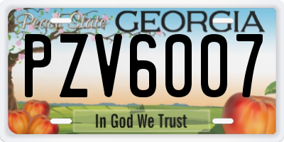 GA license plate PZV6007