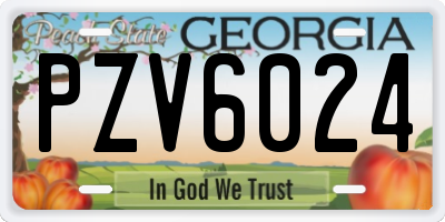 GA license plate PZV6024