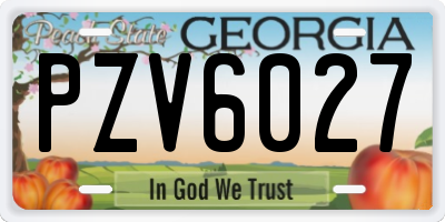 GA license plate PZV6027