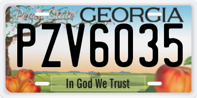 GA license plate PZV6035