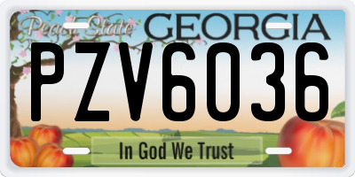 GA license plate PZV6036