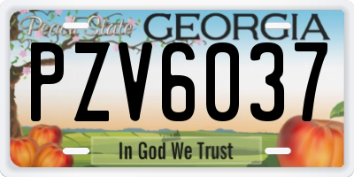 GA license plate PZV6037