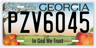 GA license plate PZV6045