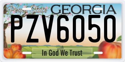 GA license plate PZV6050