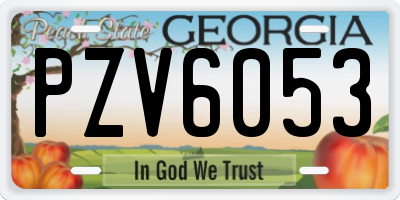 GA license plate PZV6053