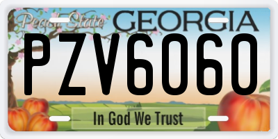 GA license plate PZV6060