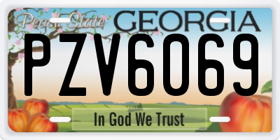 GA license plate PZV6069