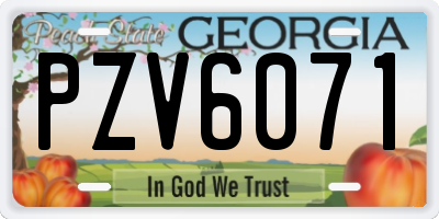 GA license plate PZV6071