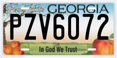 GA license plate PZV6072
