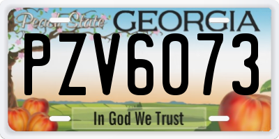 GA license plate PZV6073