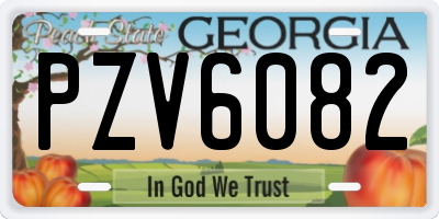 GA license plate PZV6082