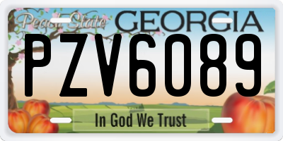 GA license plate PZV6089